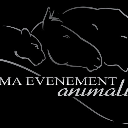 Dresseur d'animaux Cinéma - Evénement Animalier / Cher 