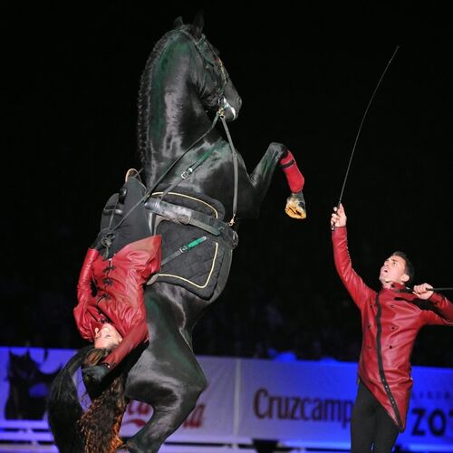 Spectacle Equestre d'Istres / Gonzalez Horse Show